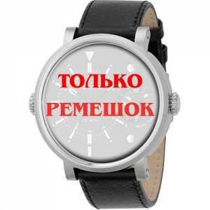 Ремешок для часов Fossil FS4244