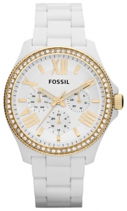 Fossil AM4493