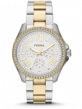 Fossil AM4543